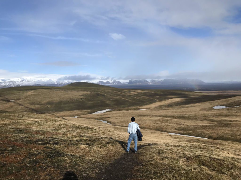 Man standing on a grassy mountain overlooking a glacier in the distance