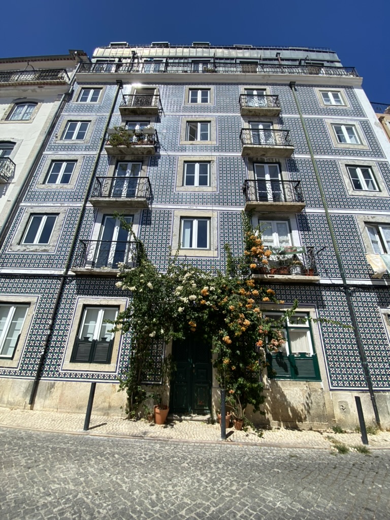 Building in Lisbon, Portugal covered in blue tiles and with vines with flowers over the doorway