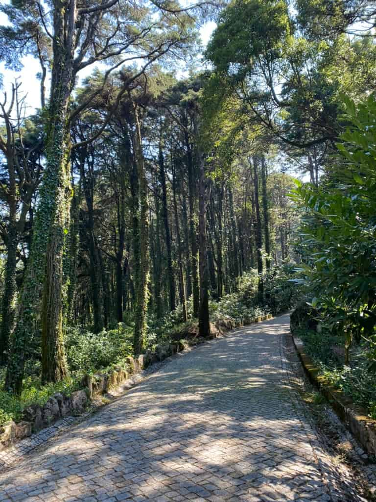 Gardens at Pena Palace in Sintra, Portugal