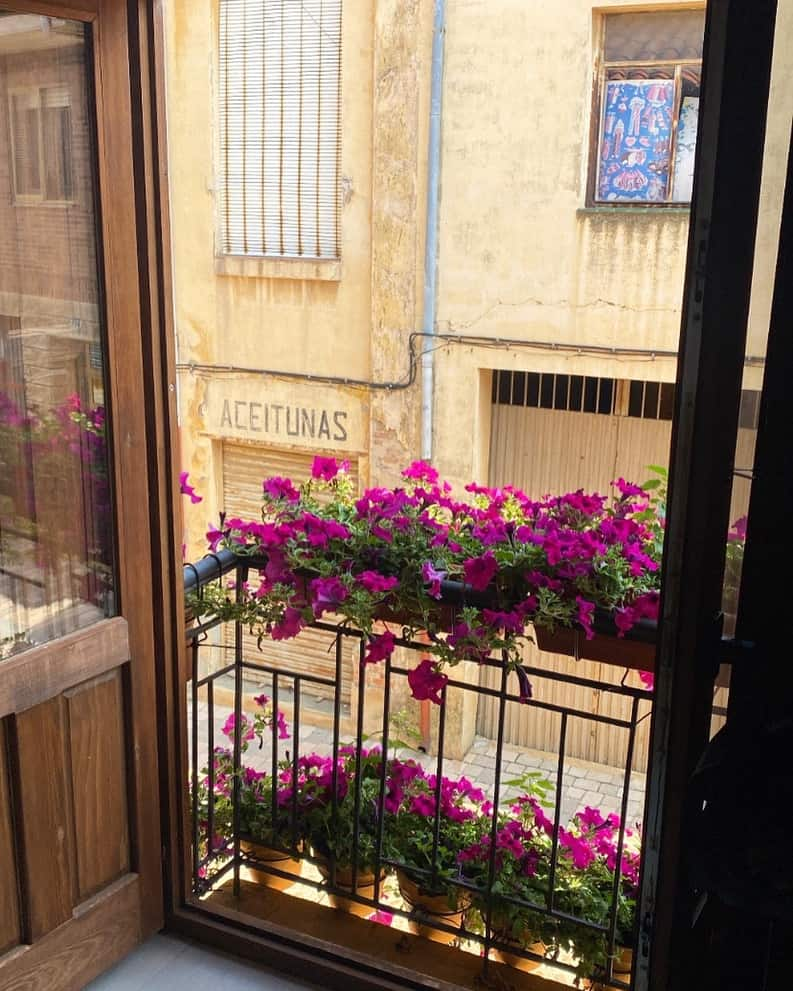 Pink flowers hanging over a balcony at an albergue in Hospital del Órbigo, Spain along the Camino Francés.