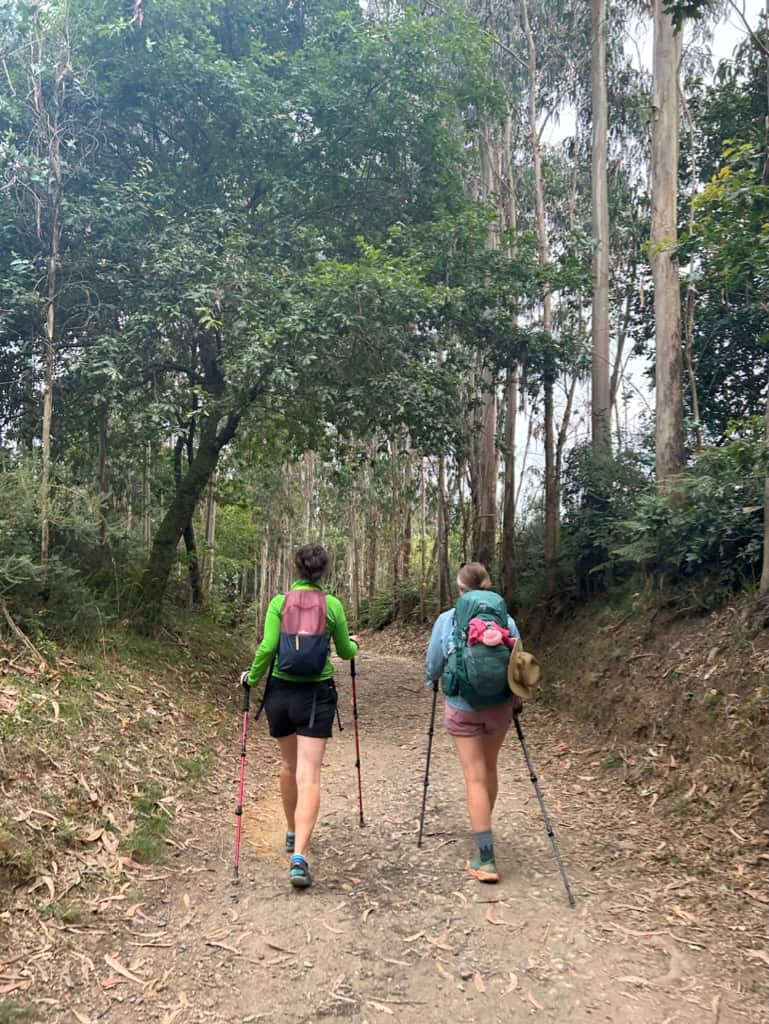 Two female hikers walking along a path in the forest in Galicia, Spain along the Camino Francés route of the Camino de Santiago