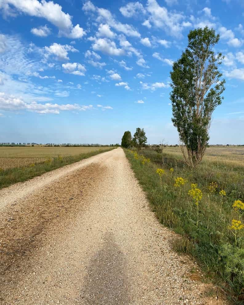 Long dirt road on a sunny day on the Camino Francés.