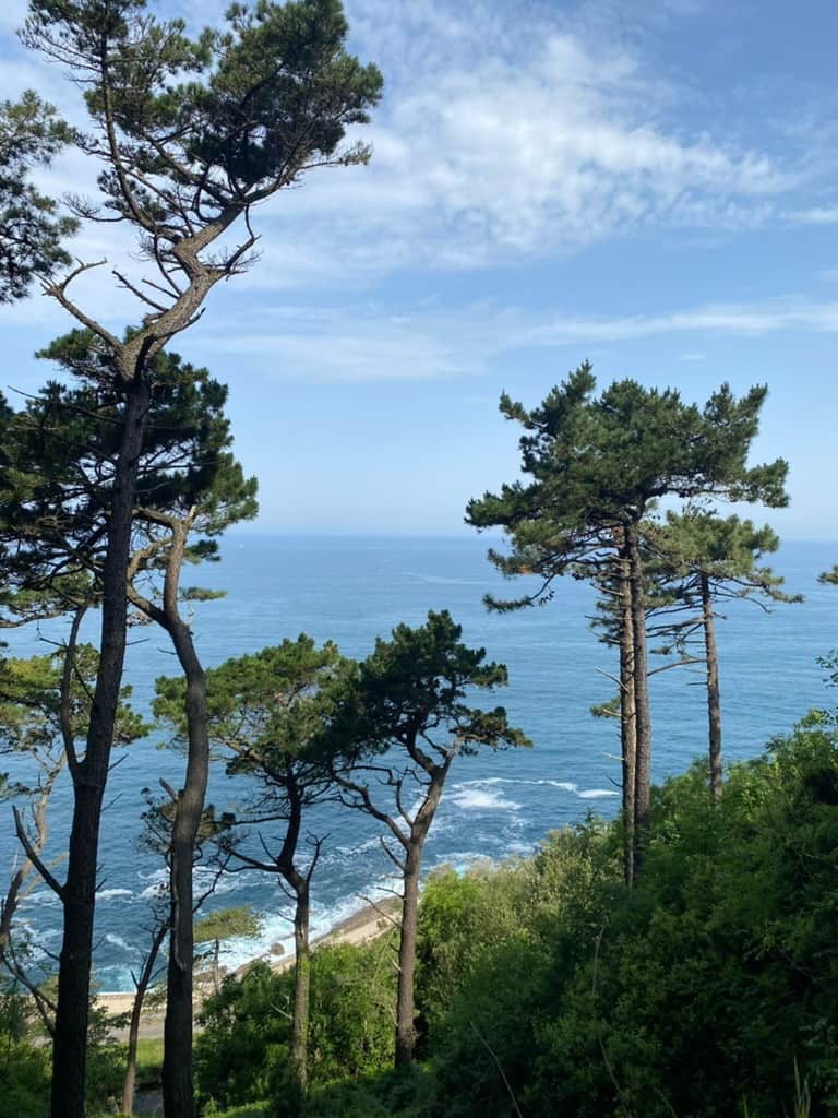 Blue ocean view with trees from above in San Sebastián, Spain.