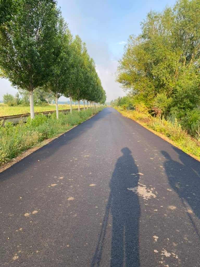 Tree-lined road along the Camino Francés with the shadows of three hikers