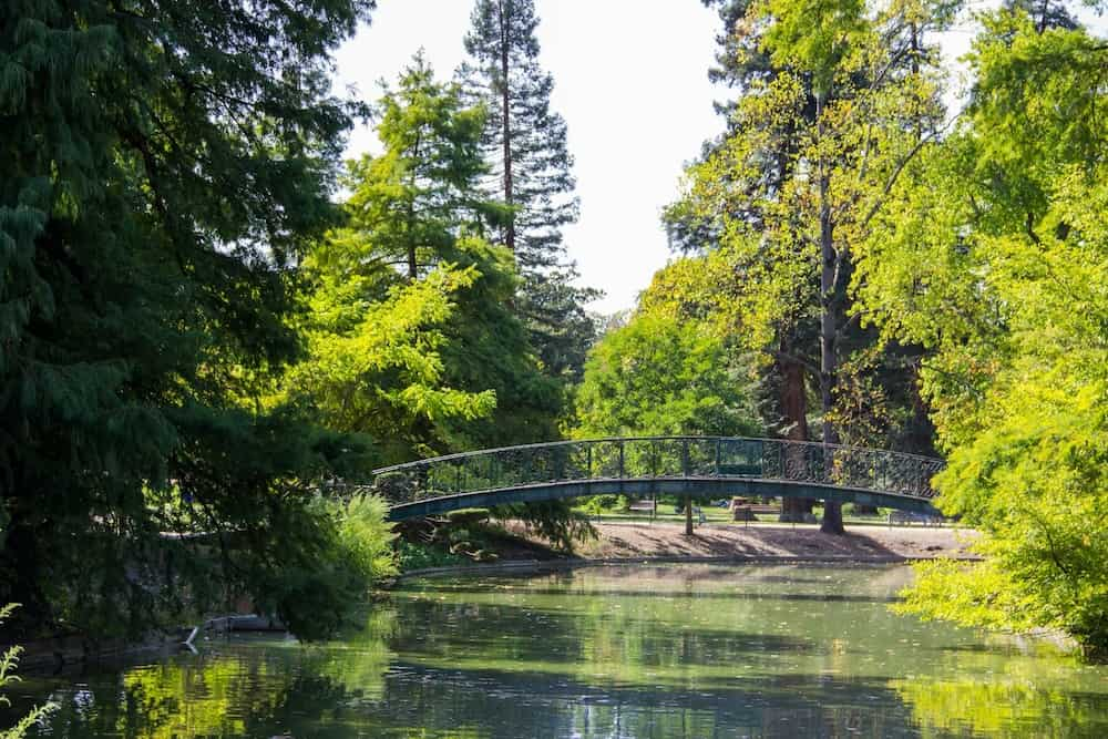 Bridge over a pond in a lush green park in Bordeaux, France.